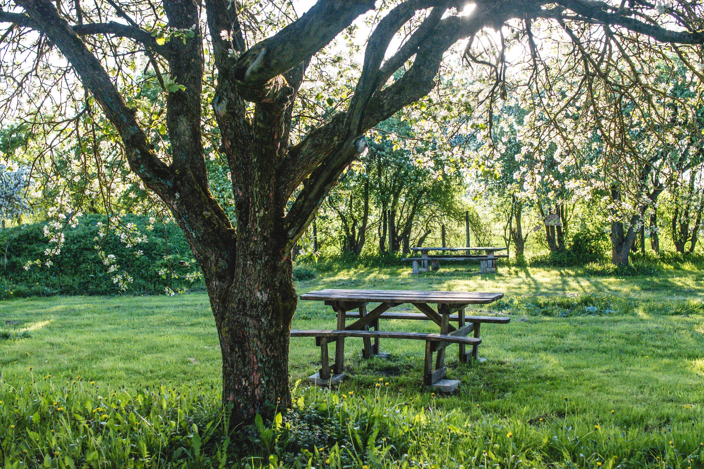 Sunny Nights CAMPING & Hostel (Gataučiai)